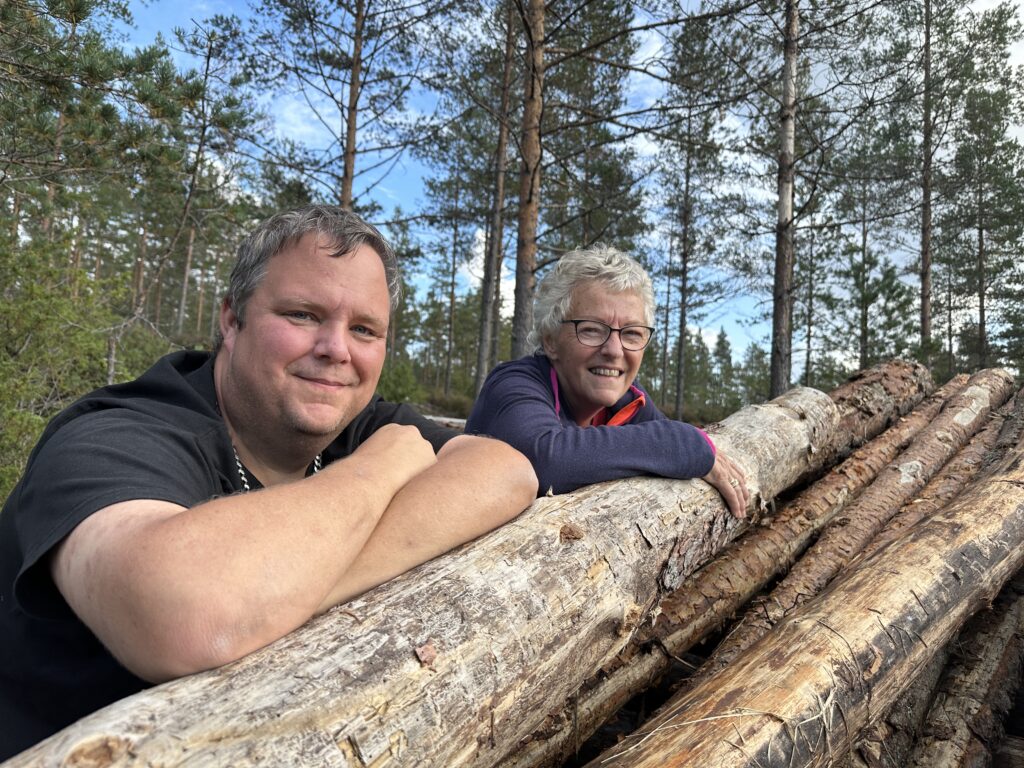 hogst, skogstell, tømmerkvalitet